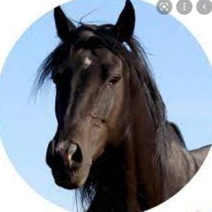 Meet your Posher, Braelynn